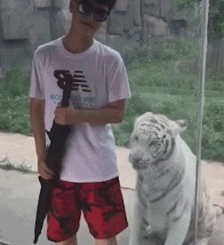 女子捕蝉喂狗 一套动作行云流水 女子捕蝉喂狗 一套动作行云流水