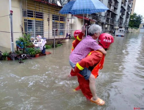 暴雨蹚水后要及时冲洗脚和腿 暴雨蹚水后要及时冲洗脚和腿