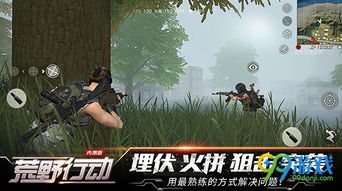 荒野迷茫游戏攻略 VS 割草游戏小白游戏指南攻略 荒野迷茫游戏攻略 VS 割草游戏小白游戏指南攻略