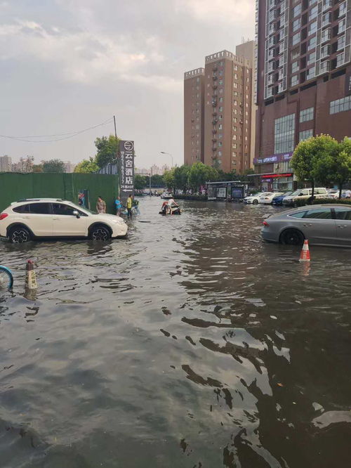 河南洛阳暴雨 河南洛阳暴雨