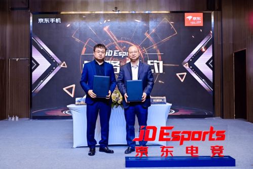 后宫攻略的游戏攻略 VS 手机游戏跷跷板攻略大全 后宫攻略的游戏攻略 VS 手机游戏跷跷板攻略大全