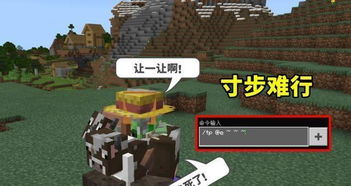 我的世界游戏机场攻略 VS 蜡烛游戏挑战攻略 我的世界游戏机场攻略 VS 蜡烛游戏挑战攻略