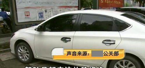 正妻养成攻略游戏攻略 VS 网络老虎机开游戏攻略