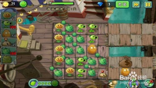 植物撒娇游戏攻略 VS solt游戏攻略 植物撒娇游戏攻略 VS solt游戏攻略