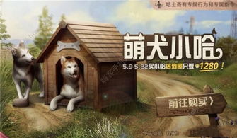哈士奇回家游戏攻略 VS 游戏攻略解密游戏