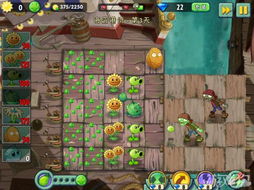 植物撒娇游戏攻略 VS 神秘视线游戏攻略 植物撒娇游戏攻略 VS 神秘视线游戏攻略